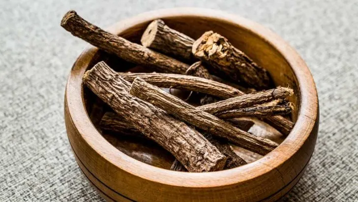 Can Dogs Eat Licorice