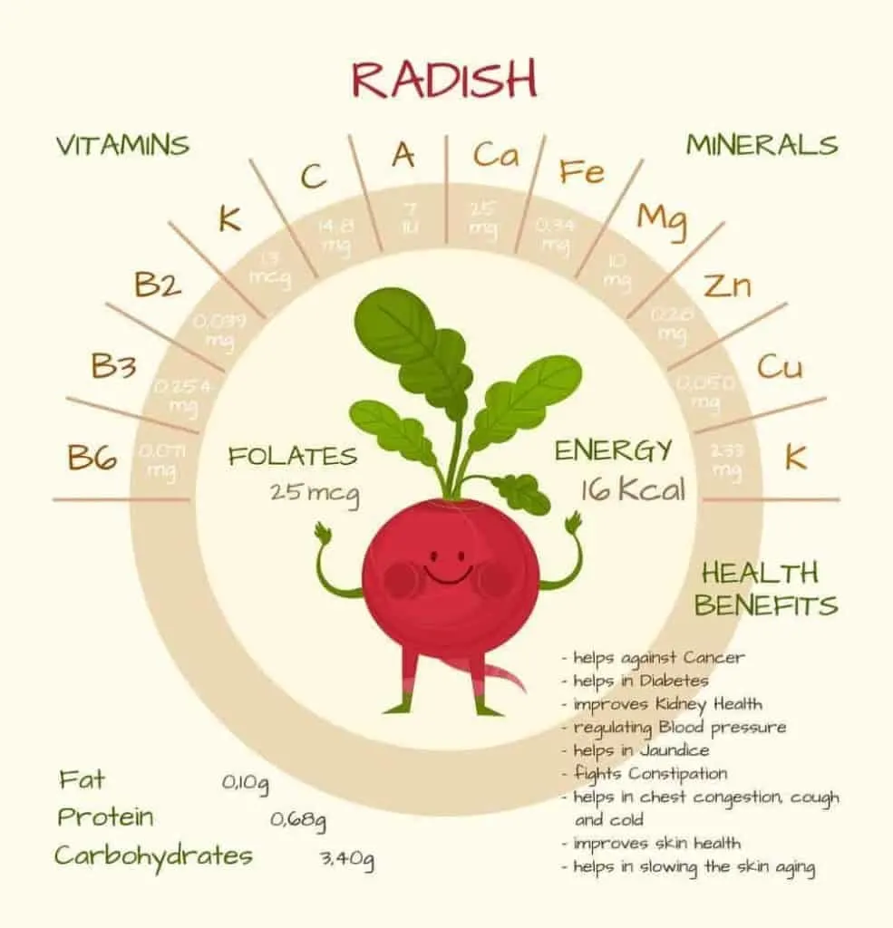 Dh Radishes Defined 1