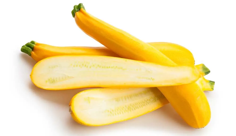 are crook neck squash safe for dogs