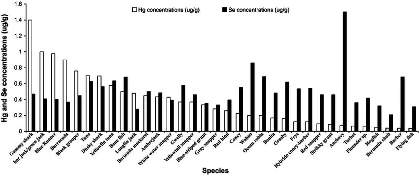 Lav Mercury And Selenium Content In Flesh Of Local Fish Species